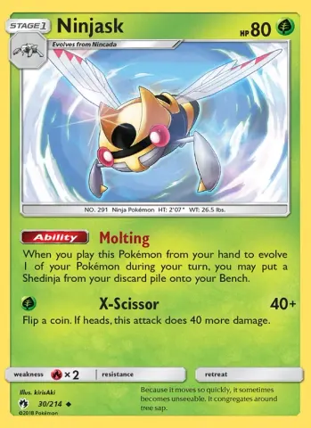 Ninjask · 30