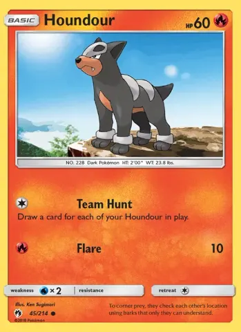 Houndour · 45