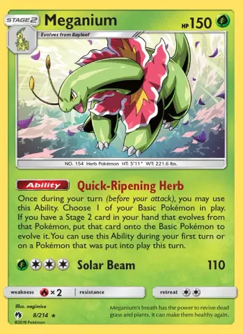 Meganium · 8