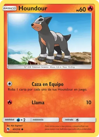 Houndour · 45