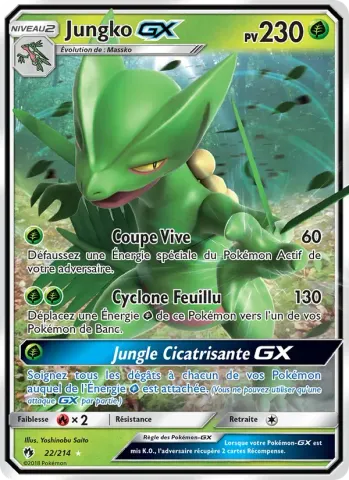 Jungko GX · 22
