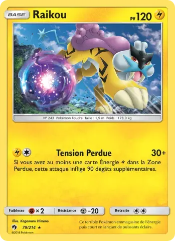 Raikou · 79