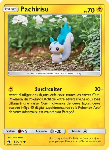 Pachirisu · 80