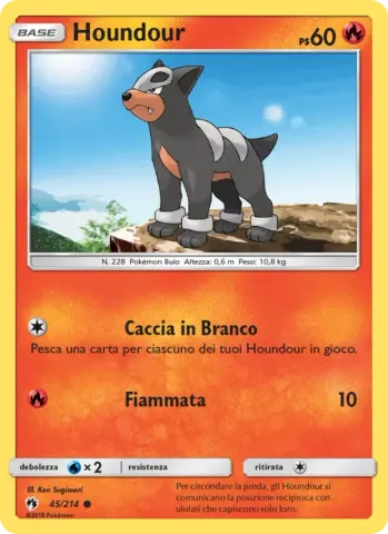 Houndour · 45