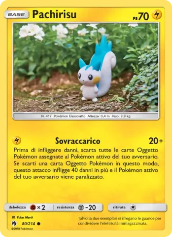 Pachirisu · 80