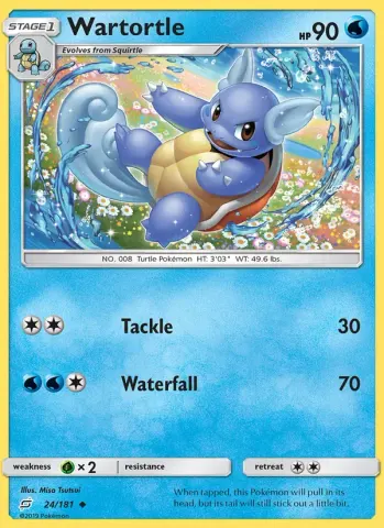 Wartortle · 24