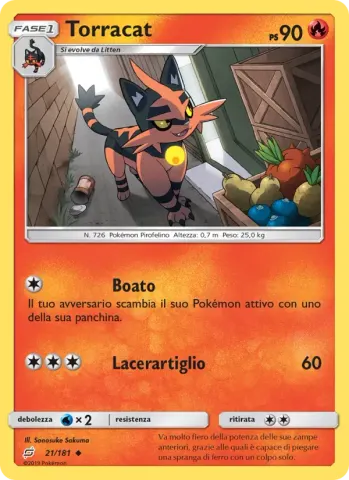 Torracat · 21