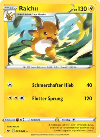 Raichu · 66