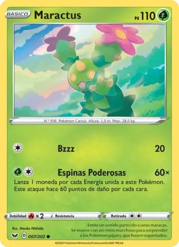 Maractus · 7