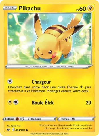 Pikachu · 65