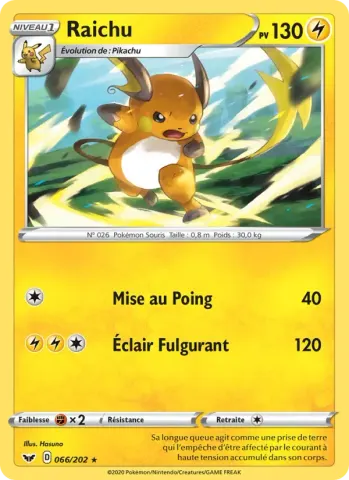 Raichu · 66