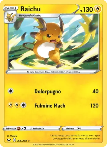 Raichu · 66