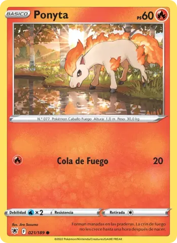 Ponyta · 021