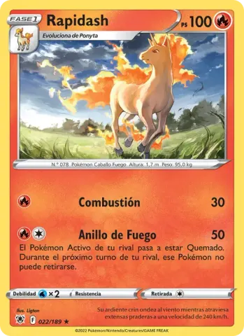 Rapidash · 022