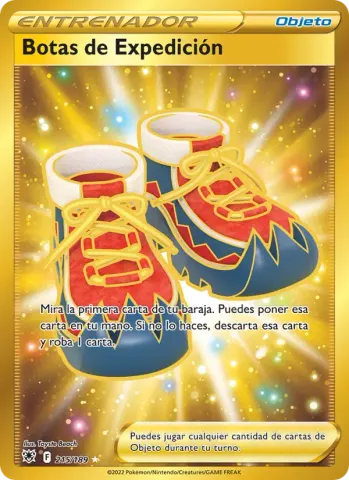 Botas de Expedición · 215
