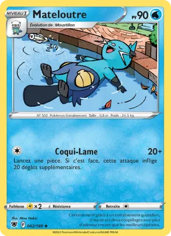 Mateloutre · 042