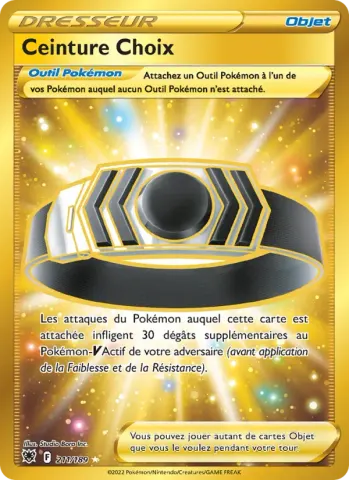 Ceinture Choix · 211