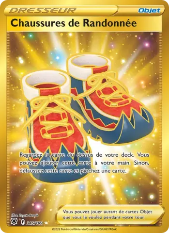 Chaussures de Randonnée · 215