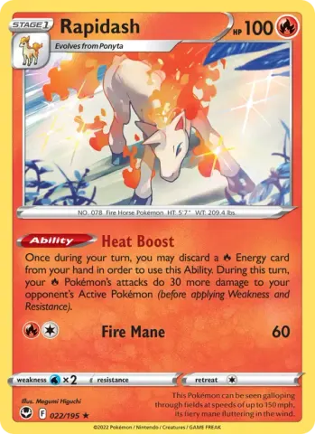 Rapidash · 022