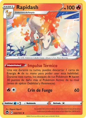 Rapidash · 022