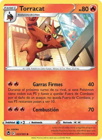 Torracat · 031