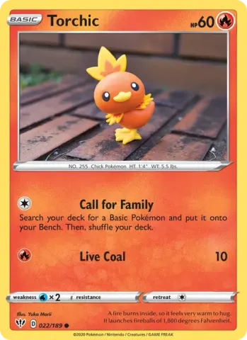 Torchic · 22