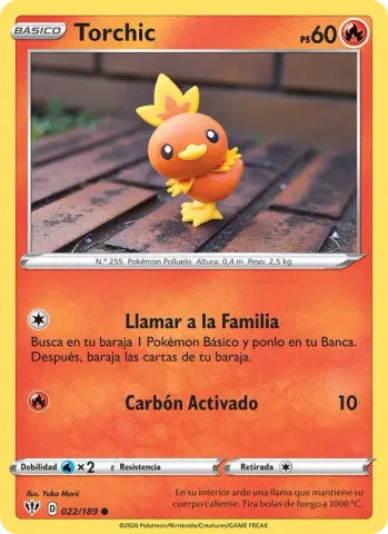 Torchic · 22