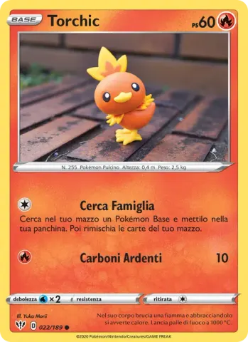 Torchic · 22