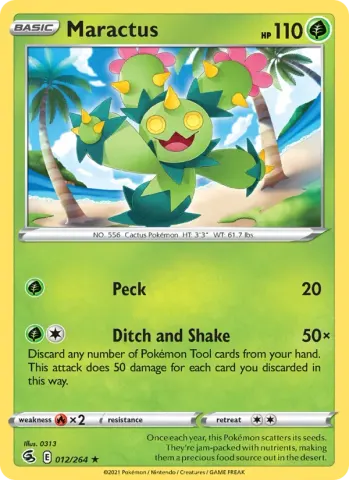 Maractus · 12