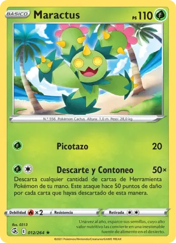 Maractus · 12