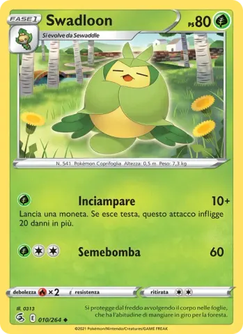 Swadloon · 10