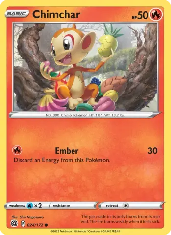 Chimchar · 024