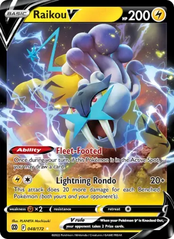 Raikou V · 048