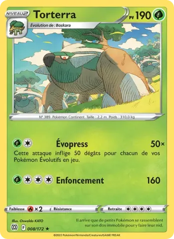 Torterra · 008
