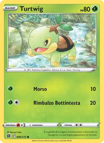 Turtwig · 006