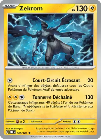 Zekrom · 066