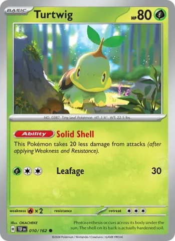 Turtwig · 010