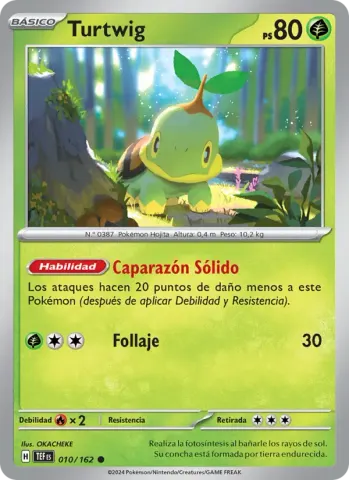 Turtwig · 010
