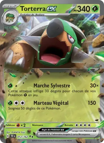 Torterra-ex · 012