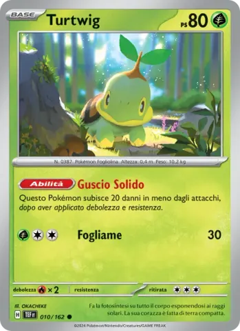 Turtwig · 010