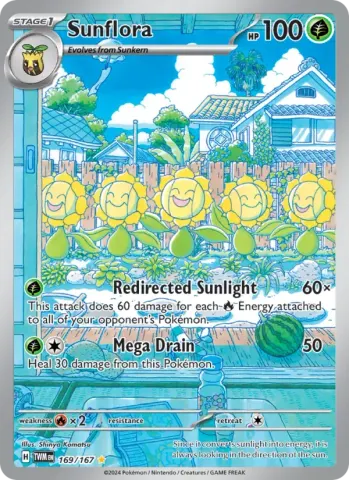 Sunflora · 169