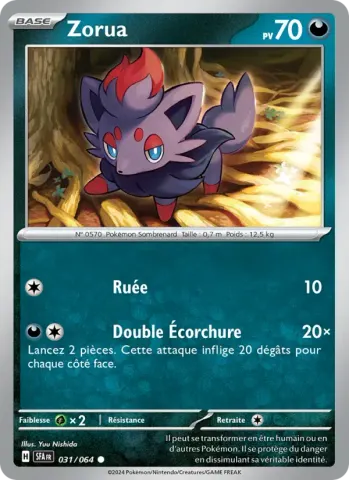 Zorua · 031
