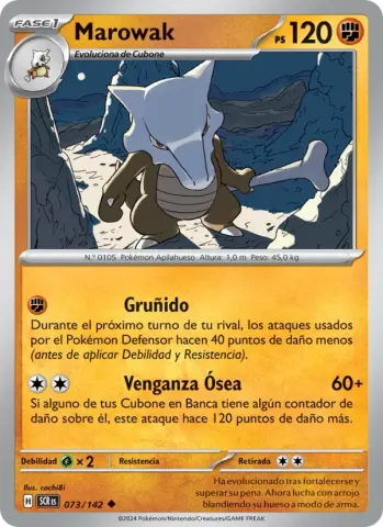 Marowak · 073
