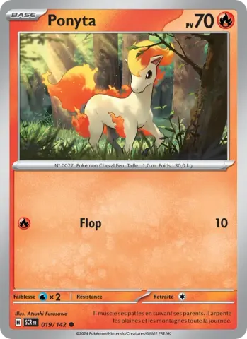 Ponyta · 019