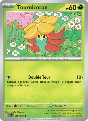 Tournicoton · 010