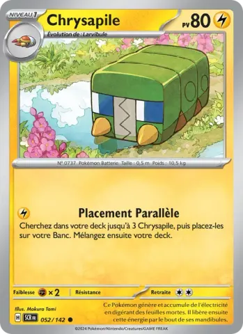 Chrysapile · 052