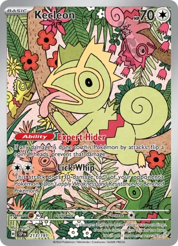 Kecleon · 213
