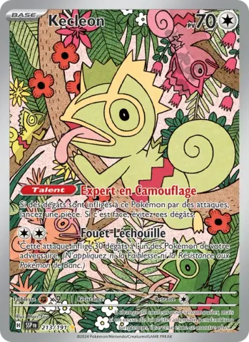 Kecleon · 213