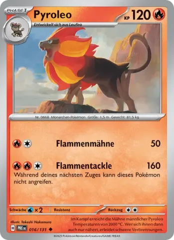 Pyroleo · 016