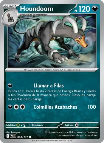 Houndoom · 063
